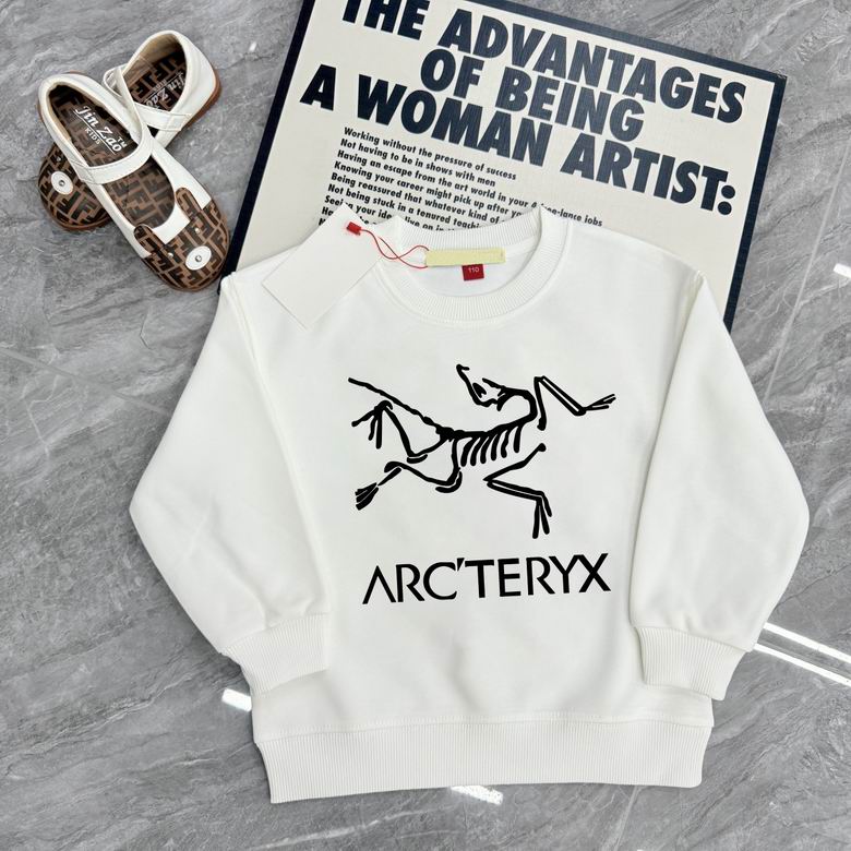 Arcteryx sz100-160 23